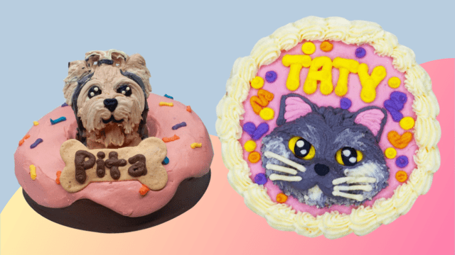 Places to sale buy dog cakes