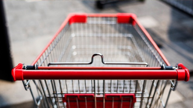 grocery shopping cart