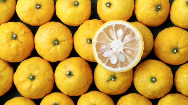 https://yummy-poc-bucket-imgs-files.s3.amazonaws.com/uploads/2022/01/citron-yuzu.jpg